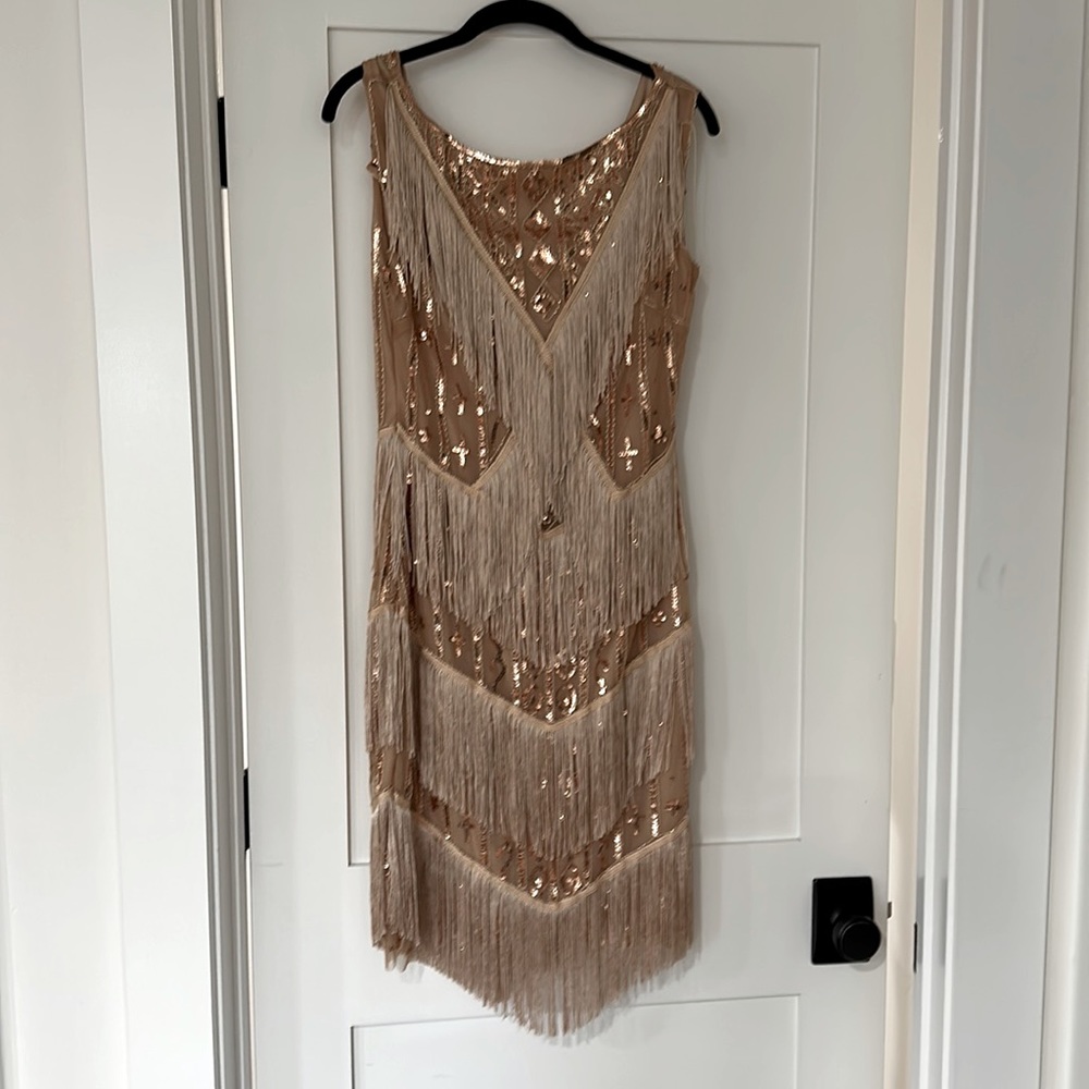 Babeyond new unworn 1920’s gorgeous flapper dress